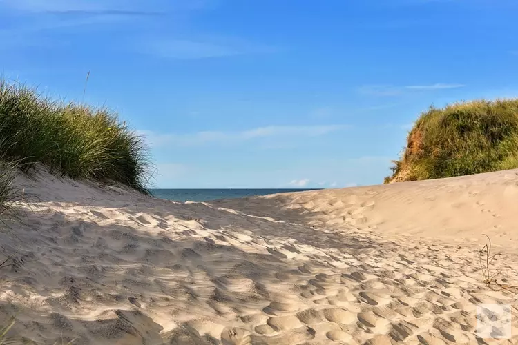 F1-teams mogen van Noordwijk over strand naar circuit rijden: Zandvoort is er nog niet uit