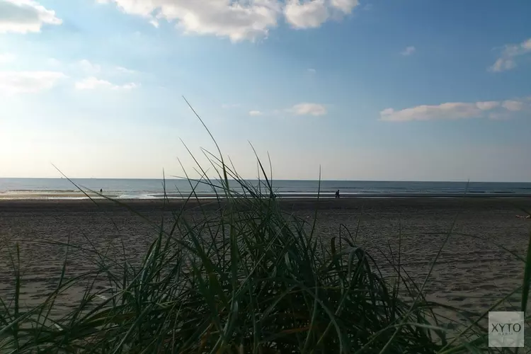 Ook meerderheid raad Zandvoort akkoord met &#39;F1-karavaan&#39; over strand