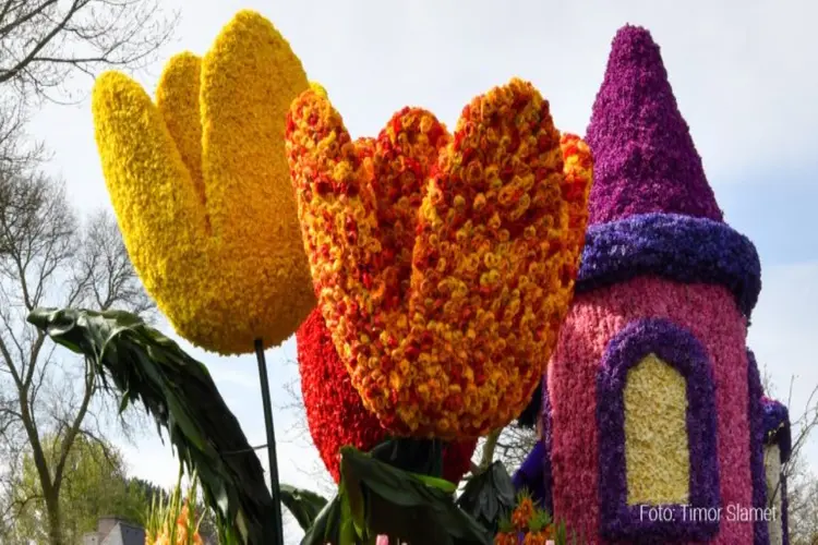 Bloemencorso in Noordwijkerhout en Noordwijk - vrijdag 19 april en zaterdag 20 april 2024