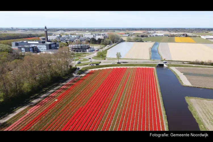 Gemeenten ontvangen 10 miljoen euro van het Rijk voor meer welvaart