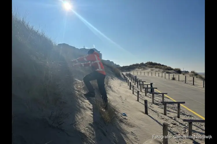 Preventief knippen tegen bastaardsatijnrups